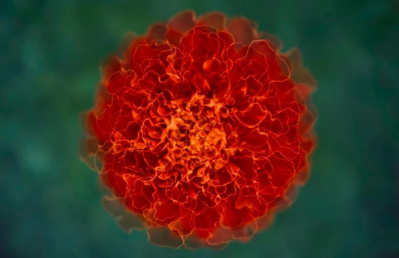B.Sc Cancer Biology